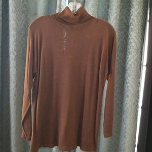 Brown Turtle Neck Sweater